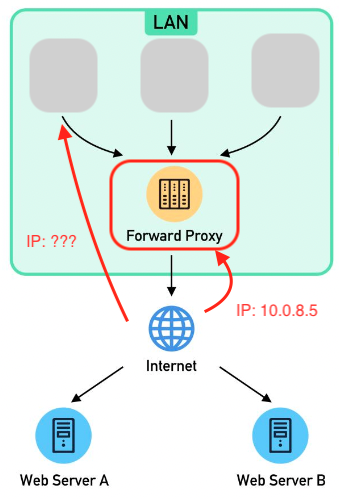 Forward Proxy reason 1